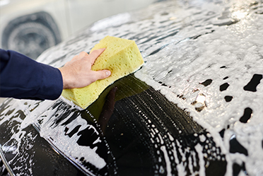 Spugna per lavaggio auto
